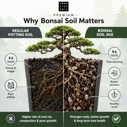 Agralife Bonsai Soil 4 Quarts Premium Organic Mix for Indoor Trees | Fast drainage. Healthy roots. Premium organic soil balances moisture and airflow for thriving indoor bonsai tree varieties. - style: Bonsai Plant Soil Mix