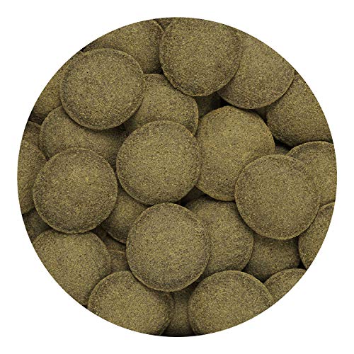 Hikari Tropical Algae Wafers Fish Food [Set of 2] Size: 0.70 Ounce - size: 2 Ounce (Pack of 1)