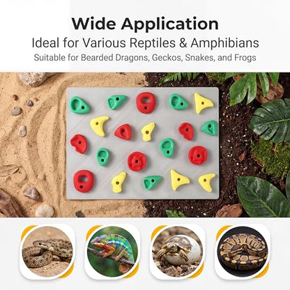 2-Pack Climbing Wall for Reptiles, Terrarium Habitat Decor | 2PCS Climbing Wall for Reptiles for bearded dragons, leopard geckos, habitat decor & enrichment