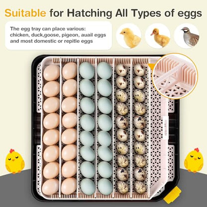 Sailnovo 48 Egg Incubator for Hatching Eggs with Precise Temp & Humidity Control,Auto Egg Turning, 360°Viewing, Egg Candler,Incubator for Chicken Eggs/Duck/Quail/Turkey,Ideal for Farm/School/Lab,Grey