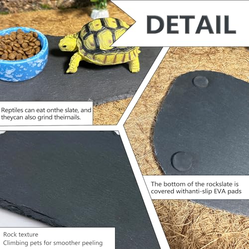 Reptile Basking Platform 11''x5.5'' Turtle Rock Plate Feeding Food Bowl Dish Feed Slate Tortoise Bathing Resting Slab for Lizard Gecko Bearded Dragon Chameleon Snake Frog-2Pcs - size: 11''x5.5''(2PCS)