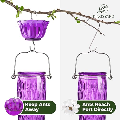 Kingsyard Glass Hummingbird Feeder for Outdoors with Ant Moat | 24 oz, Wide-Mouth Opening, 6 Metal Feeding Ports, Bee Guard, Easy to Clean & Refill Nectar, 360 Degree Perch, Purple - color: Purple