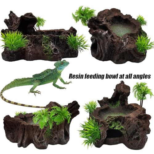 Tfwadmx Reptile Feeding Bowl,Resin Beared Dragon Food Water Dish Reptile Tank Decor for Lizard Gecko Chameleon Frog Turtle Spider