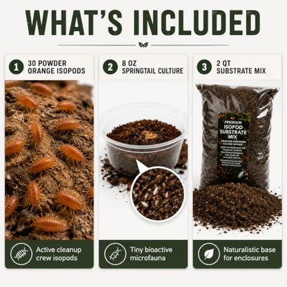 Bioactive Starter Kit | 30 Powder Orange Isopods | 8 oz Coco Temperate Springtail Culture | 2 qt Premium Isopod Substrate Mix