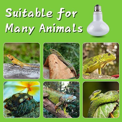 Reptile Heat Lamp Bulb, 100 Watt UVA Daylight Basking Spot Light for Bearded Dragon, Turtle, Lizard, Snake, Tortoise, Chameleon, Amphibians - 2 Pack - size: 2 Pack