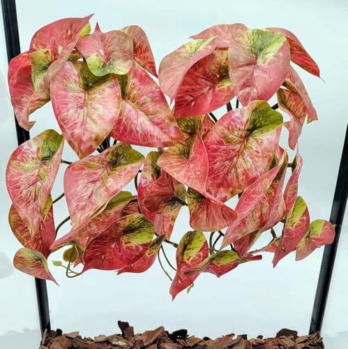 Fake Reptile Plants for Terrarium,Hanging Plant with Suction Cup | Artificial Plants for Crested Gecko Tortoise Ball Python Enclosure, Snake Tank Accessories,Amphibian Habitat Decor-2 Pack - color: Red Arrowhead