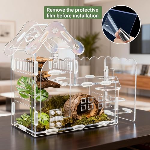 Magnetic Acrylic Jumping Spider Enclosure with Mushroom House, Easy-Feed Hole & Front Opening – Terrarium for Tarantula, Mantis, Beetle, Gecko, Hermit Crab, Reptile Habitat - color: Transparent color