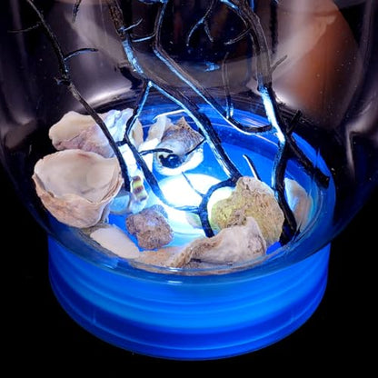 Closed Aquatic Ecosystem Mini Fish Tank with LED Light, Blue Base, Spherical Desktop Aquarium for Home Decor and Plant Terrarium