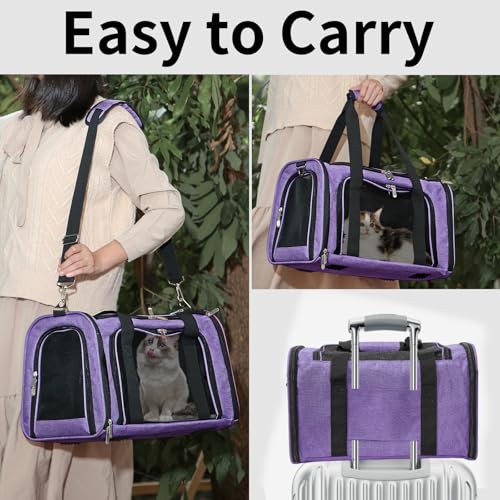 Soft-Sided Cat/Dog/Pet Carrier, Collapsible Pets Travel Carriers | for Big Cats/Small Dogs with Shoulder Strap & Removable Mat, Mesh Puppy Carry Bag, Up to 16 Lbs, TSA Airline Approved(Purple) - color: Purple, size: 17"L x 11"W x 11"H