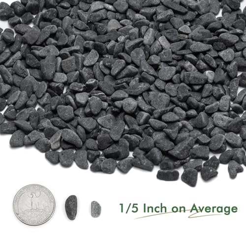 Mr. Fireglass Natural Decorative Gray Bean Pebbles 1/5" Crushed Gravel Stone for Decorating Garden, Succulent Plants and Walkway (10-lb Bag) | Aquarium Gravel, Crushed Gravel Stone, For Indoor Plants, Vases, Succulents, Outdoor Garden Landscaping and Home