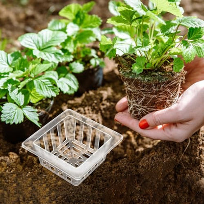 20pcs Square Mesh Hydroponic Planting Pots Efficient Drainage System Root Fixer Baskets for Gardening for Vegetables and Flowers