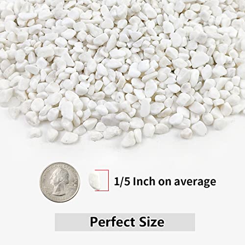 0.5LB Succulent and Cactus Gravel Pebbles, 1/5 Inch Natural Decorative Polished Stones, River Rocks for Vases, Aquariums, Terrarium and Outdoor Gardening, Mixed Color (White) - color: White