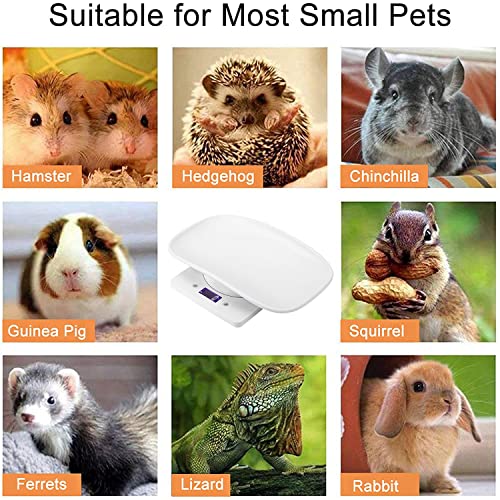 Ferrets Digital Pet Scale Precision LCD Display Small Animal Weight Scale with Removable Tray for Kitten, Rabbit, Guinea Pig, Hedgehog, Hamster, Chick, New Born Pets (White)