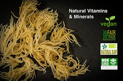 Karibbean Flavour Dried Sea Moss (Pack of 5) x 3Oz/85g) | Caribbean Superfood - Wildcrafted Seedstock - Ethically Harvested - Makes Over 10 Quarts Gel - size: 3 Ounce (Pack of 5)