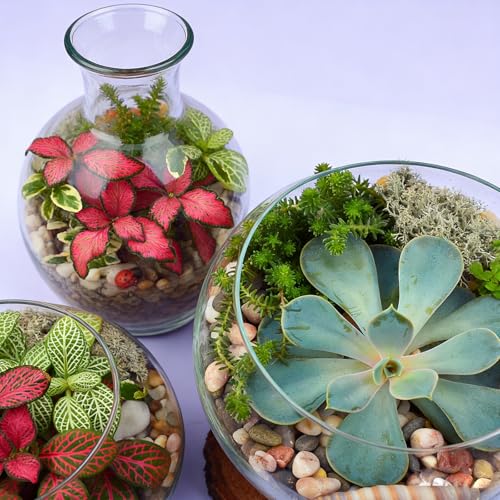 20LB Aquarium Gravel, 1/4" Pea Gravel for Fish Tank, Small River Rocks for Garden Decoration, Landscaping, Vase Filling, Flower Pot Paving(4-8MM) - size: 20LB, style: 4-8MM
