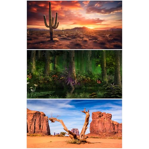 3 Pack Reptile Habitat Background Sunset Desert Terrarium Background Fantasy Forest Aquarium Background Gobi Sunshine Cactus Stone Green Fern Lizard Tank Terrarium Background 36x18in - size: 36(W)x18(H)inches/ 90(W)*45cm(H)