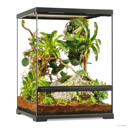 Pro Terrarium Small Tall. Advanced Natural Terrarium