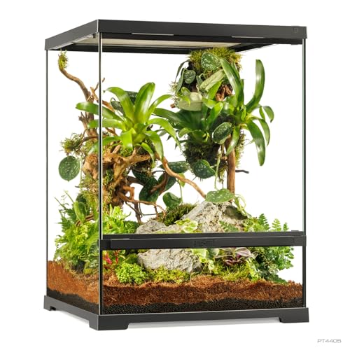 Pro Terrarium Small Tall. Advanced Natural Terrarium