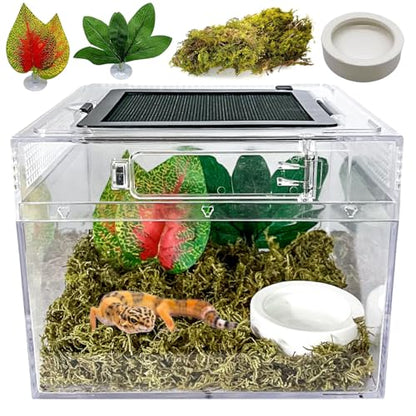 Reptile Terrarium, Jumping Spider Enclosure Starter Kit, Leopard Gecko Habitat Container, 8"x8"x7"Reptile Tank for Tarantula, Hermit Crab, Insect, Fish, Frog, Small Bearded Dragon, Lizard - size: 8"x8"x7"