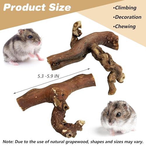 PINVNBY 2 PCS Wooden Hamster Climbing Branches 5.9 in Natural Grapevine Syrian Hamster Chewing Toys Small Animal Habitat Decor Accessories for Gerbils Mice Rat and Dwarf Pets