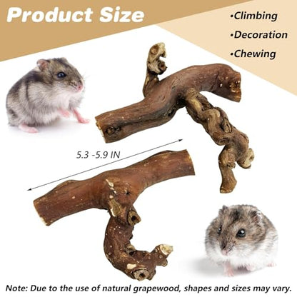 PINVNBY 2 PCS Wooden Hamster Climbing Branches 5.9 in Natural Grapevine Syrian Hamster Chewing Toys Small Animal Habitat Decor Accessories for Gerbils Mice Rat and Dwarf Pets