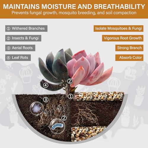 NUPICK 3lb River Rocks for Plants Indoor, 1/5" Pea Gravel for Fish Tank | Decorative Mixed Pebbles for Vase Fillers, Natural Polished Stones for Succulent, Bonsai, Landscaping, Bird Baths - color: MIX, size: 3Lb(1/5")