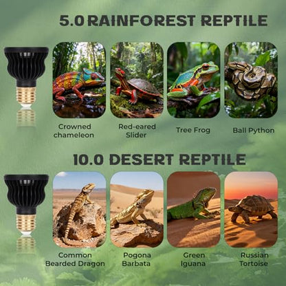 UVB Light Bulb for Reptile 4.5W5.0 UVB UVA Reptile Light Bulb for Bearded Dragon Lizard Tortoises Snake Chameleon Not Heat Lamp Natural Sunlight Simulation for Tropical-Dwelling - size: Upgrade 4.5W5.0