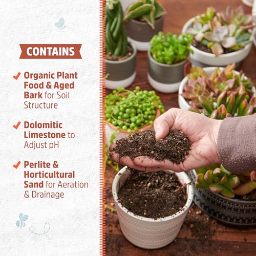 Back to the Roots 100% Organic Succulent & Cacti Mix (6 Quart) | Made in the USA | Premium Nutrition for Indoor and Outdoor Plants - size: 6 Quart, style: Suculent & Catcti Blend
