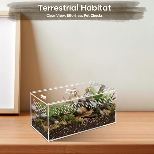 Jumping Spider Enclosure Set, Terrestrial Arboreal Combo, Acrylic Tarantula Terrarium, Praying Mantis Habitat, No Assembly, 2-Size Kit, Large - size: Large