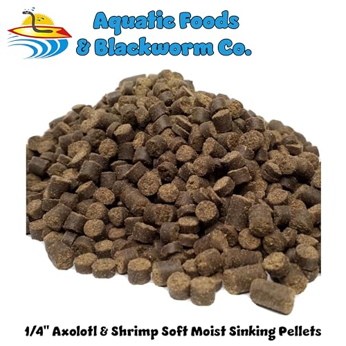 Axolotl Food, 1/4" Soft Moist Sinking Pellets, Rangen's Salmon Meal Pellets for Adult Axolotl. Also Shrimp, Snails, Crabs, Bottom Fish, All Tropical Fish...12oz Small Jar