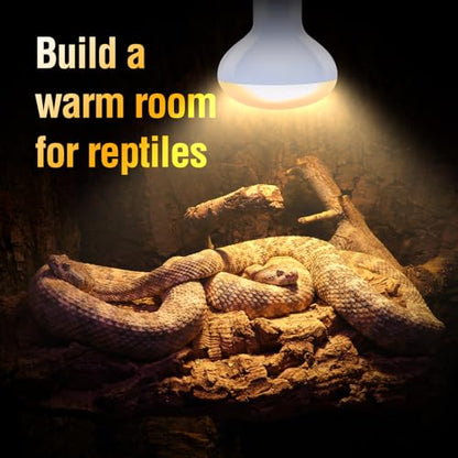 Leoterra 75w Heat Lamp Bulbs Day and Night Heat Lamp Bulbs Combo Pack, Dimmable Heat lamp for Reptiles, E26 Base,Easy to Install,Long-Lasting Reptile Heating Bulb - style: H8075 Combo Pack