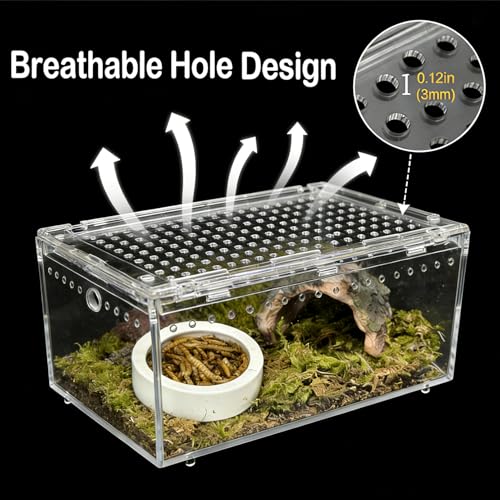 Reptile Terrarium Kit Small Gecko Tank Tarantula Isopods Insect Enclosure | Hermit Crab Tank,Acrylic,Box Packaging,with Moss Bottle Stands Tweezer Thermometer Hideout Food Bowl,for Frog Scorpion