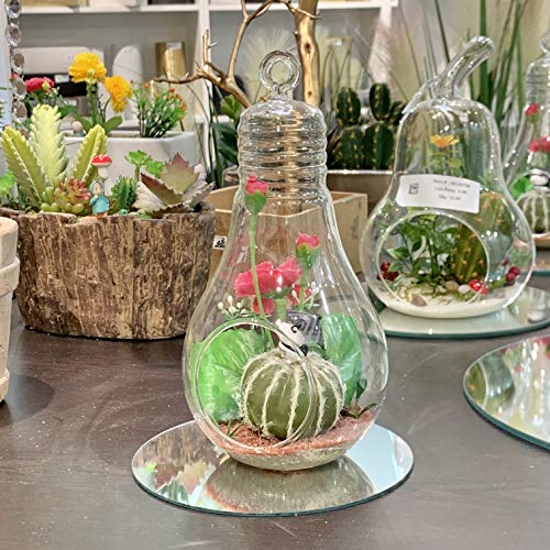 WGV Hanging Glass Plant Terrarium, Width 3", Height 6", Bulb DIY Air Succulent Planter Clear Vase Tea Light Votive Candle Holder, Wedding Event Office Home Outdoor Decor, 1 Piece - size: Bulb S
