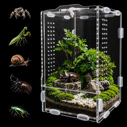 Jumping Spider Enclosure, Insect Terrarium, Bug Cage, Acrylic Terrarium for Tarantula, Snail, Praying Mantis, Frog, and Small Reptiles (3.5" x 3.5" x 5.9") - size: 3.5" x 3.5" x 5.9"