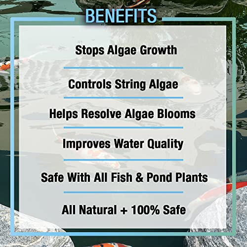 MICROBE-LIFT ALGAGAL Algaway 5.4 Algae Control Treatment for Ponds and Water Gardens, Safe for Koi Fish, Goldfish, Plants, and Decorations, 1 Gallon - size: 1 Gallon