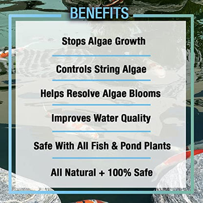 MICROBE-LIFT ALGAGAL Algaway 5.4 Algae Control Treatment for Ponds and Water Gardens, Safe for Koi Fish, Goldfish, Plants, and Decorations, 1 Gallon - size: 1 Gallon