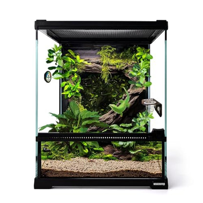 Mini Reptile Glass Terrarium Tank 8"*8"*10" Full View with Front Opening Door,Amphibians Enclosure Habitat Cage for Leopard Gecko Tarantula Young Lizard Hermit Crab Frog Insects Breeding - size: 8x8x10 inch