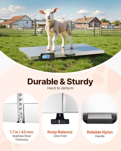 VEVOR 880Lbs x 0.2Lbs Livestock Scale Shipping Scales Large Platform 40.6x20.9Inch Stainless Steel Vet Scale Industrial Floor Scale Large Animal Dog Pig Scale Goat Weight Scale Pet Digital Scale | For Dogs, Pigs, Goats and Animal Pets, Stainless Steel Ind