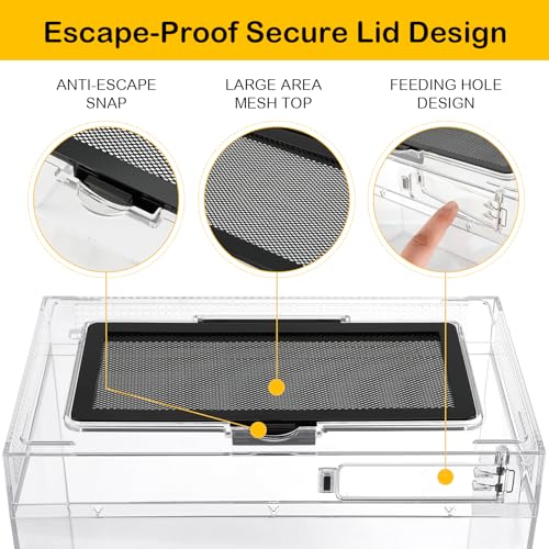 HELIME Reptile Tank 7 Piece Starter Kit with Escape Proof Locking Lid XL | All in One lizard Terrarium,Polycarbonate Leopard Gecko Enclosure Frogs Cage with Light,Hygrometer,Hide,Tweezer,Bowl,Sprayer - size: XLarge(19.5x9.4x10.5IN)