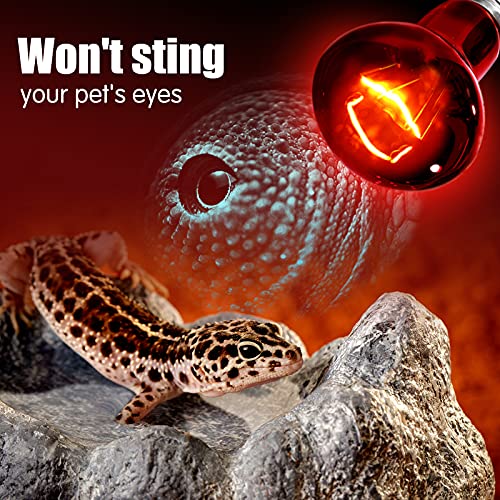 Infrared Heat Lamp Bulbs 100W 2 Pack,Red Basking Spot Light Bulb Reptile Heating lamp for Bearded Dragon,Turtle,Snake,Leopard Gecko,Chicked with Digital Temperature Thermometer - style: 100W(2 Pack)
