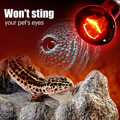 Infrared Heat Lamp Bulbs 100W 2 Pack,Red Basking Spot Light Bulb Reptile Heating lamp for Bearded Dragon,Turtle,Snake,Leopard Gecko,Chicked with Digital Temperature Thermometer - style: 100W(2 Pack)