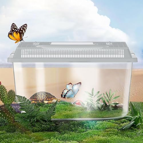 Transparent Reptile Feeding Box 360°, Standard Faunarium with Handle, Reptile Tank Transport & Portable Habitat Feeding Boxes, Transparent Plastic Pet Houses for Gecko, Frog, Lizard, Tarantula (Grey) - color: Grey