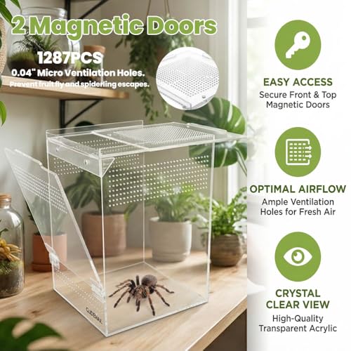Jumping Spider Enclosure, Acrylic Tarantula Enclosure, 6x6x9 Inch Insect Terrarium with 2 Magnetic Doors, Pre-Assembled Reptile Habitat for Gecko, Mantis, Snail, Lizard, Frog, Hermit Crab, Hatchlings - size: 6x6x9inch