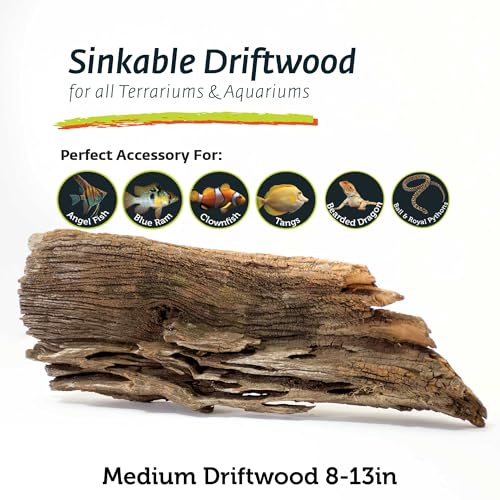Galápagos (05285) Sinkable Driftwood Bed, Natural, Medium/11-13" - size: Medium/11-13"