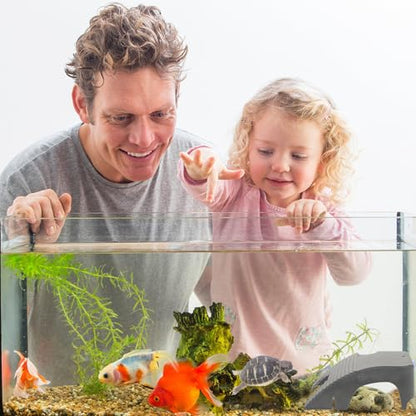 MAGICLULU 2pcs Turtle Basking Platform for Turtle Tank and Aquarium, Environmental-Friendly Abs Plastic Reptile Dock, Floating Climbing and Resting Ramp Accessories
