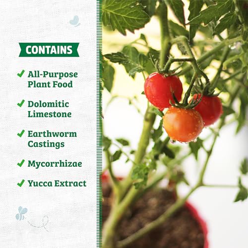 Back to the Roots All-Purpose Potting Mix 6 Quarts (Best Value), 100% Organic & USA Made for Herbs, Veggies, Flowers, w/Nutrient Rich Plant Food, Worm-Castings, & Moisture Controlling Yucca, 2 Packs - size: 12 Quart, style: Specialty Soil
