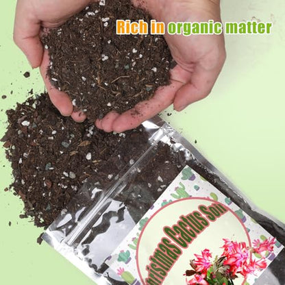 Doter Christmas Cactus Potting Soil Mix 2qt, Ideal for Succulents, Christmas Cacti, and Other Indoor Potted Plantings - size: 2qt