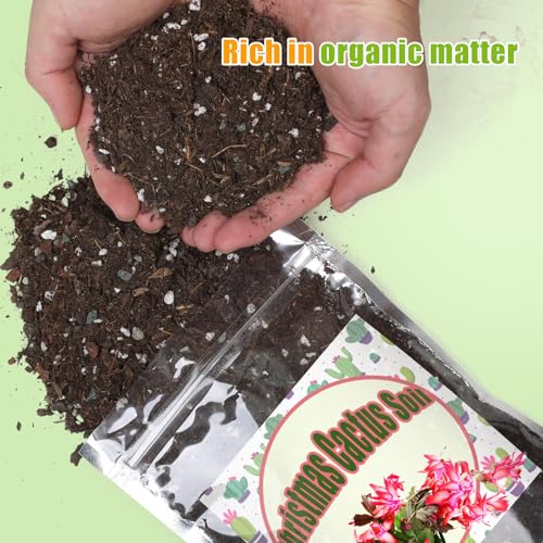 Doter Christmas Cactus Potting Soil Mix 4qt, Ideal for Succulents, Christmas Cacti, and Other Indoor Potted Plantings - size: 4qt