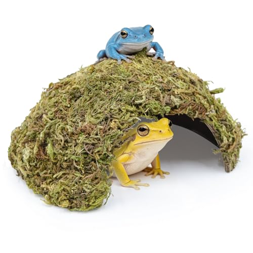 Natural Moss Frogs Hideout - Green Mossy Cave for Reptile, Geckos, and Hermit Crabs - Humid Habitat Decor for Amphibians and Small Reptiles - Eco-Friendly Terrarium Shelter
