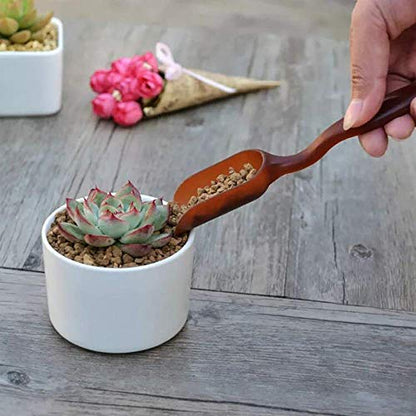 SONGZIMING 15 Pcs Succulent Plant Tools Set | Mini Garden Planting Watering Tool Kit for Succulent Miniature Gardening Plant Care